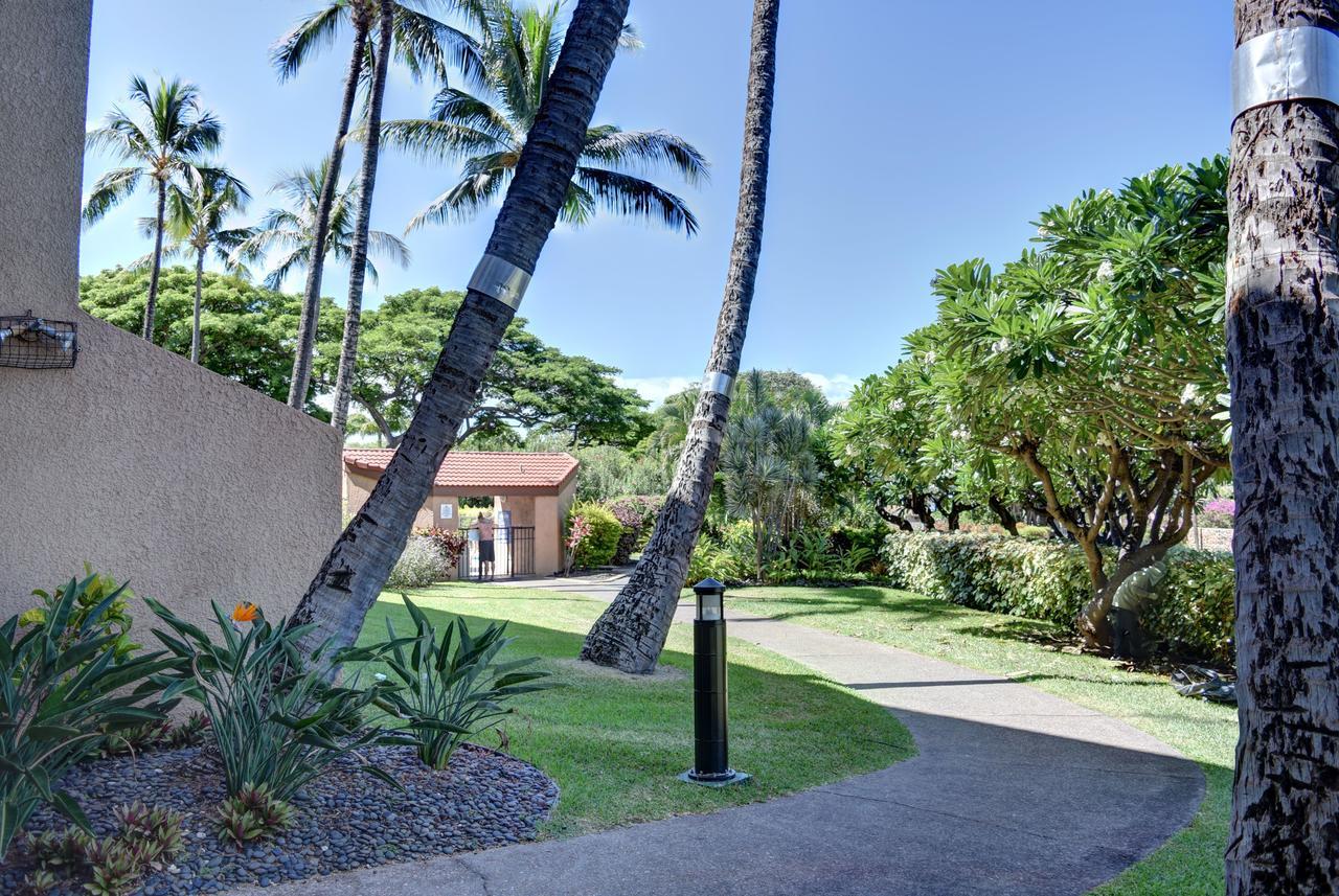 شقة Maui Vista 1114 كيهي المظهر الخارجي الصورة